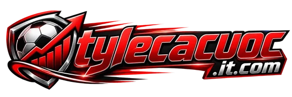 tylecacuoc.it.com